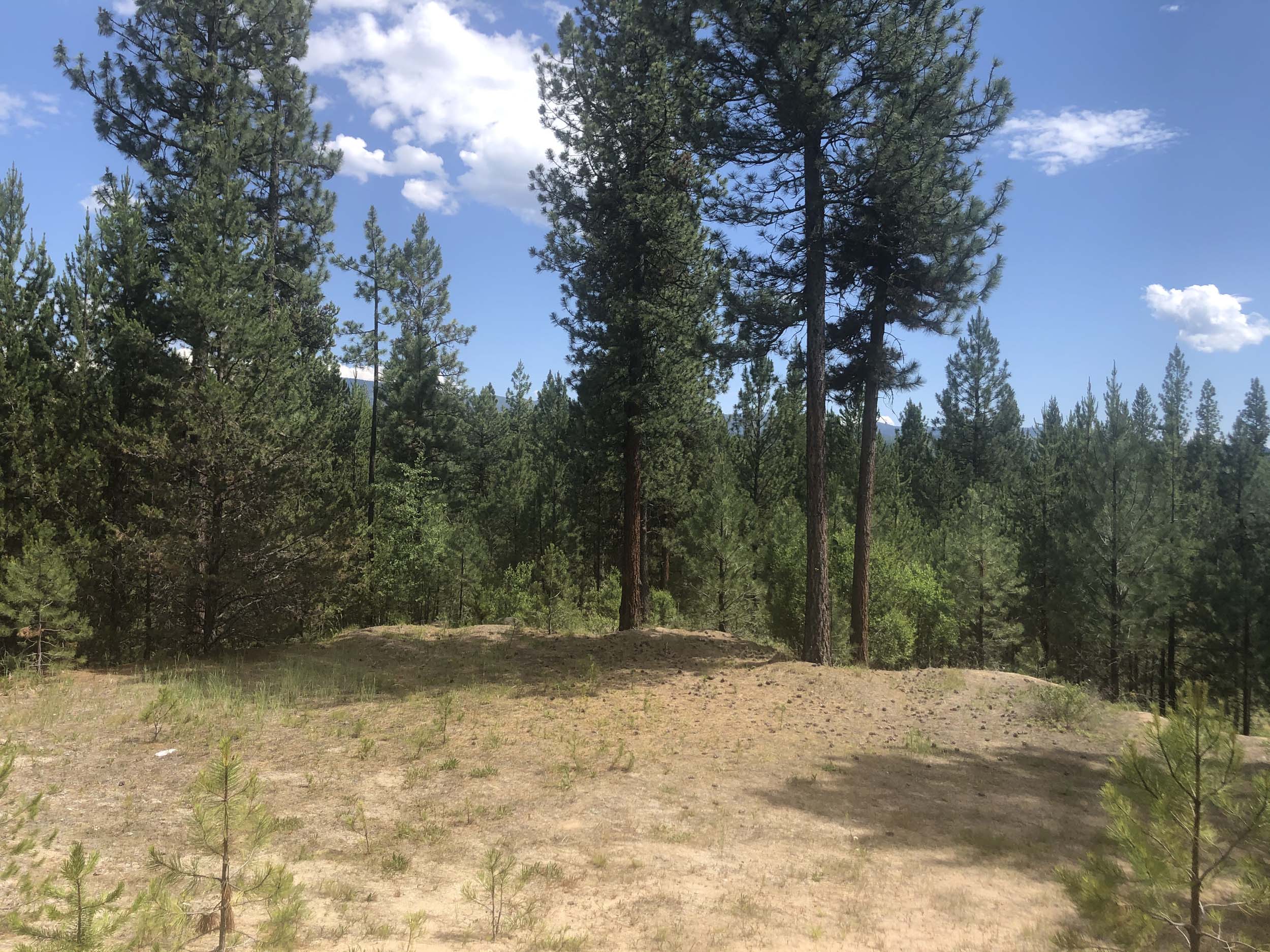 Cascade Lake Realty Whispering Pines